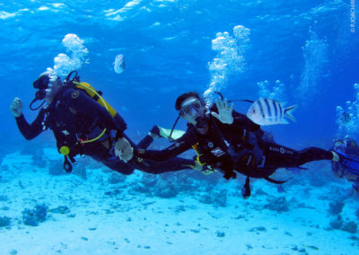 Scuab diving in Bora Bora with Topdive