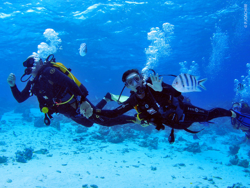 Bora Bora diving