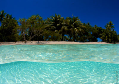 Tetiaroa - Topdive