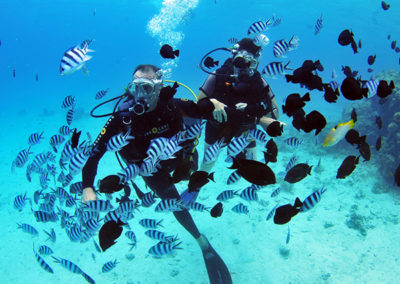 Diving with plenty of fishes in Tahiti