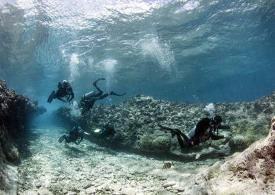 Tetiaroa - Divers - Topdive - Photo T-Kotouc