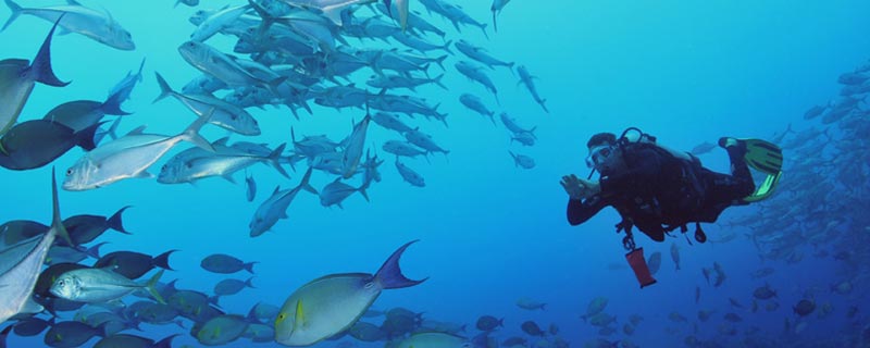 The canyons – Tetiaroa