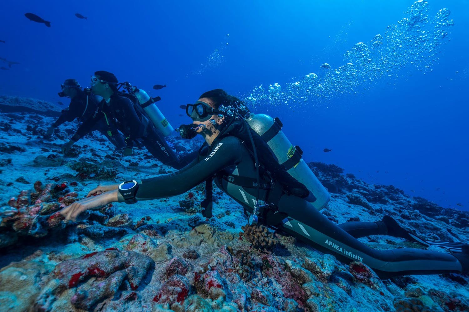 scuba-diving-in-fakarava-north-topdive