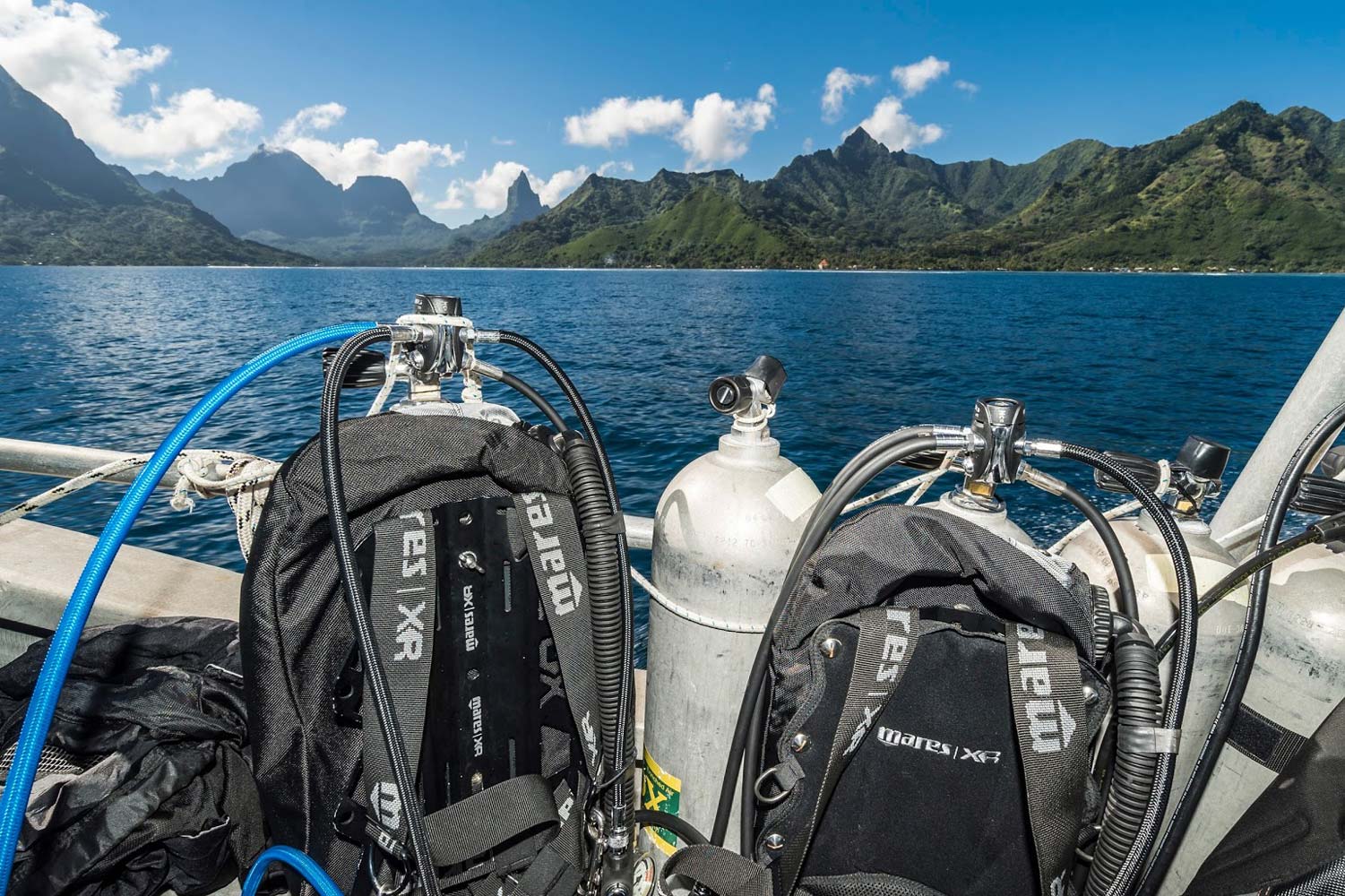 Diving at the Opunohu Canyons in Moorea